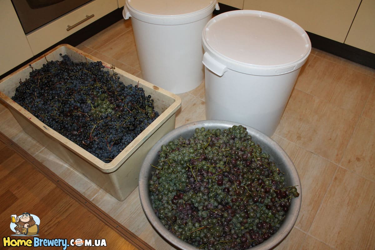 Подготовка винограда