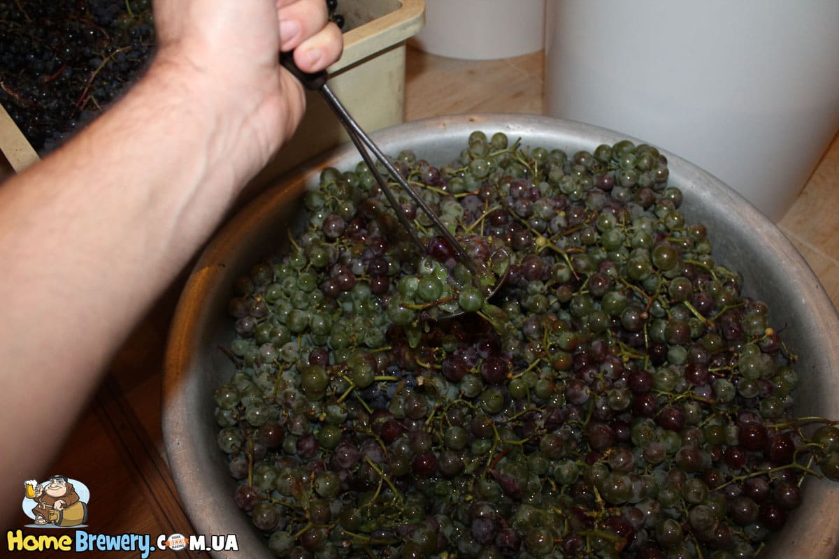 Выдавливание сока из винограда